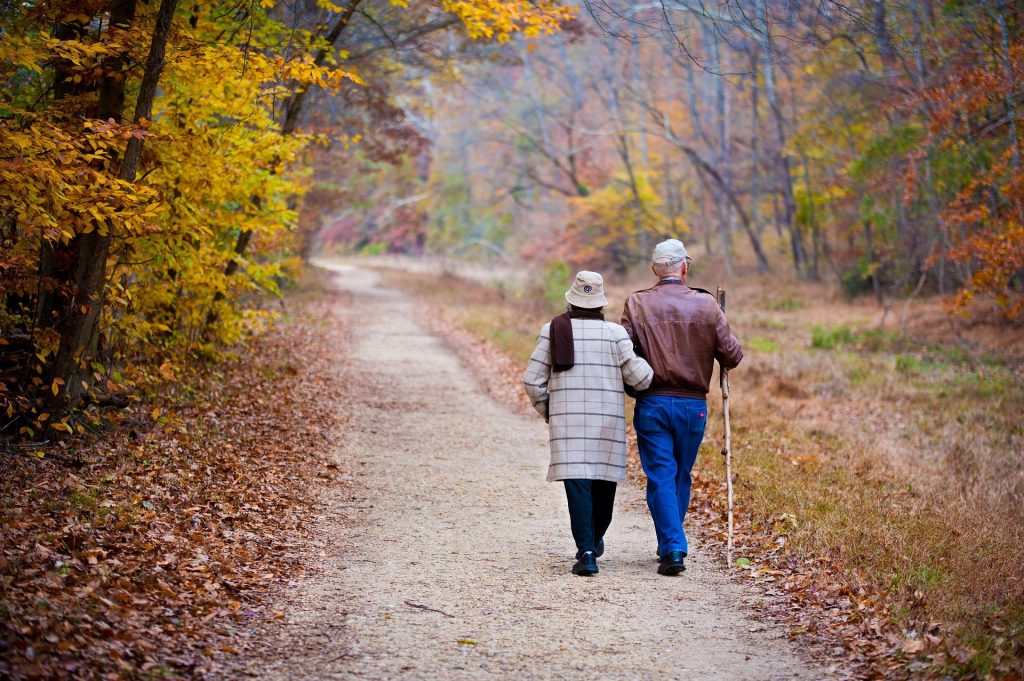 Preventing Falls in the Elderly